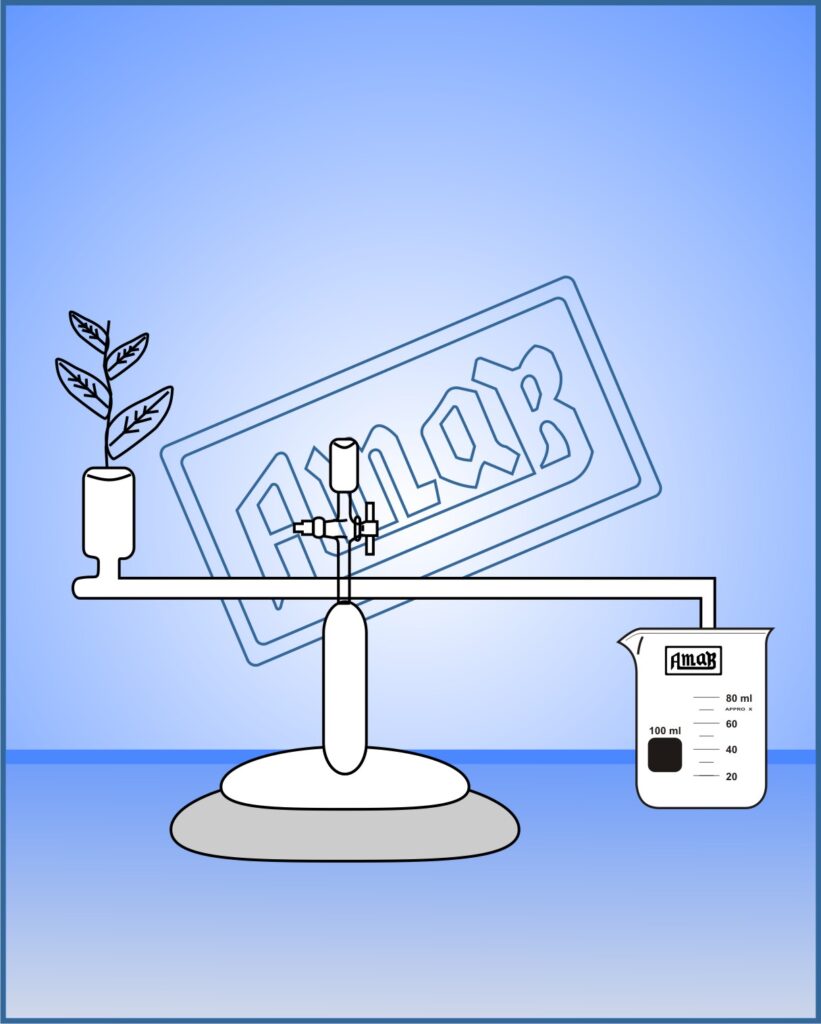 Ganong’s Potometer