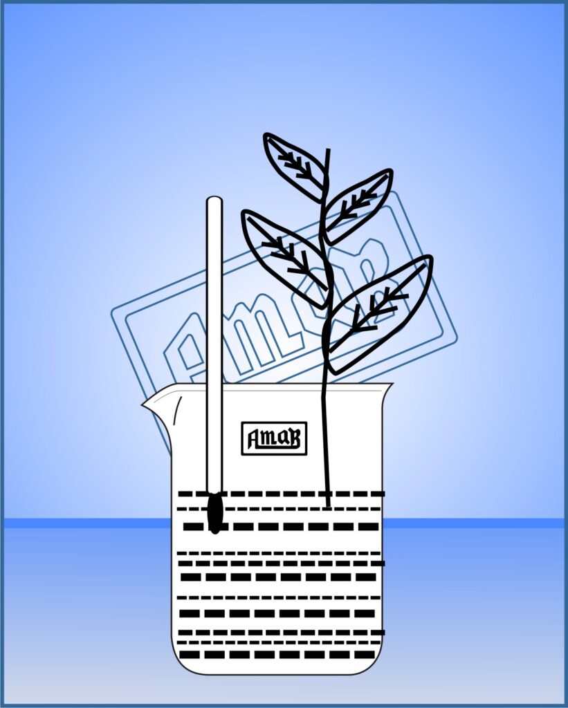 Transpiration Experiments